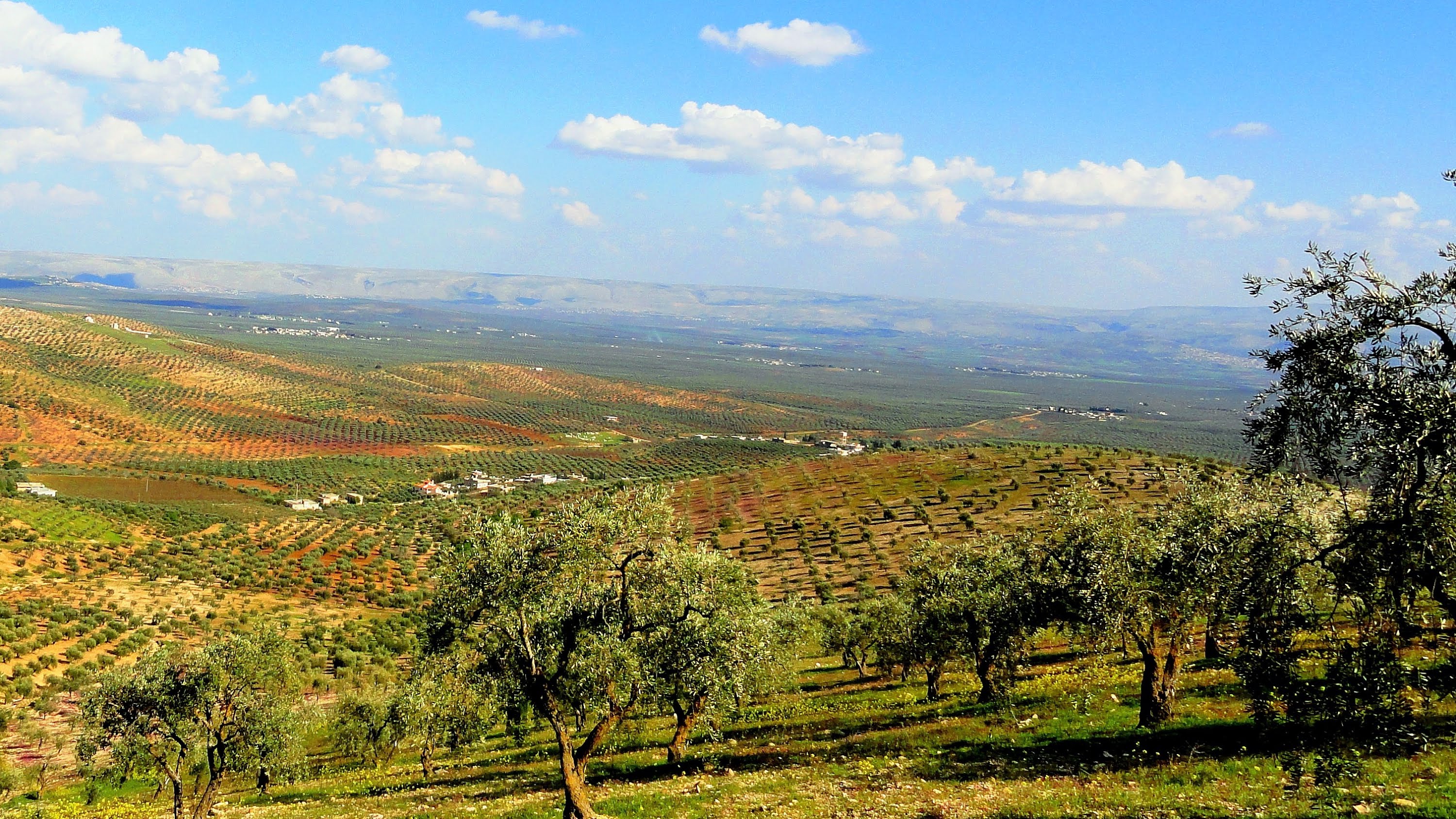 Rêveberiya Xweser nêçîrkirina ajelan li Rojava qedexe kir